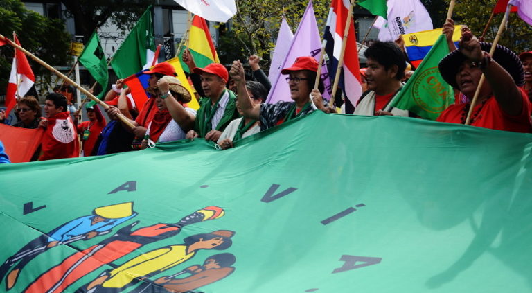 Astăzi sărbătorim -Ziua Internațională a Luptelor Țărănești – în cinstea țăranilor adevărați, pe cei care, în liniște, țin lumea în viață