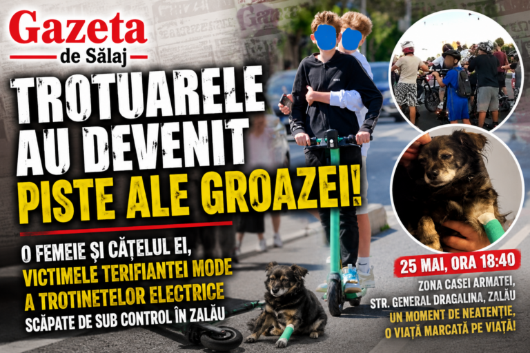 Trotuarele au devenit piste ale groazei !O femeie și cățelul ei, victimele terifiantei mode a trotinetelor electrice scăpate de sub control în Zalău